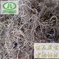 世元藥業(yè) 遼細辛 細參