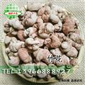 竹花 竹黃 淡竹黃、竹三七 統(tǒng)貨 產(chǎn)地 湖南省  買好藥找娟子