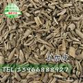 南五加 五加皮  統(tǒng)貨 產(chǎn)地 甘肅省  娟子中藥