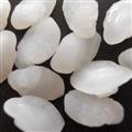 靈吉藥業(yè)  魚腦石 魚首石 石首骨 化石 石首魚 道地藥材 貨真價實(shí) 批發(fā)各類規(guī)格中藥材 花茶 礦石