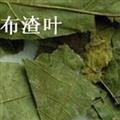 靈吉藥業(yè)  布渣葉 蓑衣子 破布葉 麻布葉 爛布渣 道地藥材 貨真價(jià)實(shí)