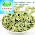 罗布麻 精选罗布麻叶批发各种规格名贵药材 中草药 花茶 矿石 籽粒 产地 新疆维吾尔自治区克拉玛依市市辖区