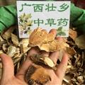 廣西壯鄉(xiāng)中草藥 野生 全根 白背桐根 白背根 白樸樹 白泡樹 白面簡 產(chǎn)地 廣西柳州