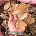 廣西壯鄉(xiāng)中草藥 野生 正宗 產(chǎn)地直銷 楓荷桂 陰陽楓 產(chǎn)地 廣西柳州