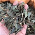 廣西壯鄉(xiāng)中草藥 野生 餓螞蝗 產(chǎn)地 廣西柳州