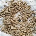 白芍 白芍3/4尾芍 混級 統(tǒng)貨 產地 安徽省亳州市譙城區(qū)