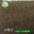  娟子中藥 沙苑子 沙苑子新貨統(tǒng)貨 產(chǎn)地 陜西省漢中市
