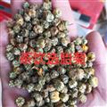 菊花 胎菊 胎菊王选货 产地 浙江省 产地 浙江省