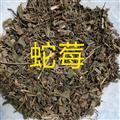蛇莓 蛇莓統(tǒng)貨 產(chǎn)地 四川省