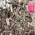 豨薟草 選片 產(chǎn)地 河南省南陽市