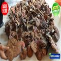 野生靈芝 純野生假一賠十 產(chǎn)地 河南省