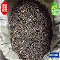 天名精 大片 产地 河南省南阳市