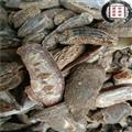 德誉堂药业 郁金 大统 郁金片  批发各种中药材