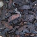 生地黄 万信药业 地黄三四级1.0 好统货 炕干 质量不错  产地 河南省