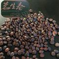 98%酸棗仁 茗生春藥材總公司 一手貨源 數(shù)量有限，售完下架
