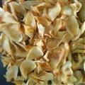 百合 統(tǒng)貨 百合  產(chǎn)地 湖南省