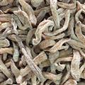 云南麗江紅天麻 小紅天麻 原生態(tài) 無(wú)硫本色