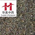 半枝蓮 統(tǒng) 產地 河南省  華美中藥  產地直銷 重在品質