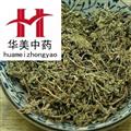 鵝不食草 統(tǒng) 產(chǎn)地 河南省 華美中藥 產(chǎn)地直銷 重在品質(zhì)