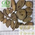 世元藥業(yè) 五倍子 獨(dú)倍 鹽膚木 山梧桐 百蟲倉(cāng) 棓子 獨(dú)貝