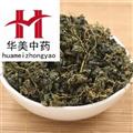 绞股蓝 绞股蓝茶 产地 陕西省 华美中药 产地直销 重在品质
