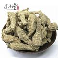 西洋參 美國進口西洋參 花旗參原叢