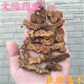 蒼術 炒蒼術  大片 無加重 產地 黑龍江省