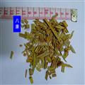 鐵樹葉 統(tǒng)貨 