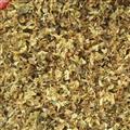 槐花 大貨優(yōu)惠 現貨供應 