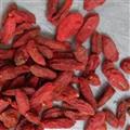 枸杞 寧夏枸杞280 產(chǎn)地直銷產(chǎn)地 寧夏回族自治區(qū)
