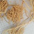 精品徐长卿 纯根 万信药业 徐长卿选段 过筛无杂质 假一赔十 产地 山东省
