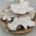 【河北生白術(shù)大統(tǒng)片】@【同歡藥材】中藥材批發(fā)供應(yīng)@河北【白術(shù)】規(guī)格齊全 量大從優(yōu)  產(chǎn)地 河北省