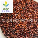 【系統(tǒng)推薦】【進口炒棗仁炒酸棗仁】@【同歡藥材】中藥材批發(fā)供應(yīng)  規(guī)格齊全 量大從優(yōu) 產(chǎn)地 海外