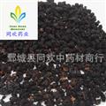 【药用好统黑桑葚子】@【同欢药材】中药材批发供应  规格齐全 量大从优 产地 山东省