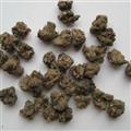 猫爪草 统  猫抓草