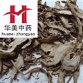 当归@【华美中药】中药材批发供应【当归】