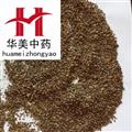 地肤子 川地肤子净货 产地 山东省 华美中药 产地直销 重在品质