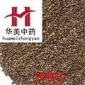 沙苑子 水洗凈貨 產(chǎn)地 陜西省  華美中藥 產(chǎn)地直銷重在品質(zhì)