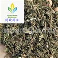 【野生新货旱莲草段 墨旱莲】@【同欢药材】中药材批发供应  规格齐全 量大从优  产地 山东省