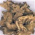 升麻 龙眼根 窟窿牙根  产地黑龙江支持药检，供应各大药厂，饮片厂量大从优