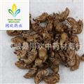【干凈過泥土蟬蛻】@【同歡藥材】中藥材批發(fā)供應(yīng)  規(guī)格齊全 量大從優(yōu) 產(chǎn)地 山東省