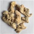 粉姜一級(jí)個(gè) 干度好