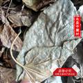 霜桑葉 冬桑葉選貨 產(chǎn)地 河南省南陽市市轄區(qū)