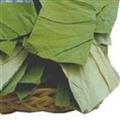 荷葉 荷葉中方片 新貨上市 顏色新鮮 產地 山東省