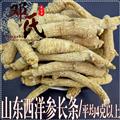 可“真空包裝”山東西洋參長條平均4克以上散裝批發(fā)500克起批西洋參長支產(chǎn)地直供鄧氏中藥材批發(fā)