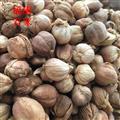 白豆蔻 白豆蔻统货 白寇 香味浓郁  产地 广西壮族自治区