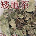 靈吉藥業(yè)  矮地茶  平地木  老勿大 不出林 葉底珠  地道藥材 貨真價實  批發(fā)各種規(guī)格中藥材  花茶  礦石 野生冷背中藥材等