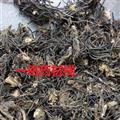 威靈仙 選裝 水洗貨 產(chǎn)地 內(nèi)蒙古自治區(qū)