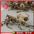 威靈仙統(tǒng)段 中藥材威靈仙 瑞芝堂產地直銷1000g規(guī)格齊全 一站購齊