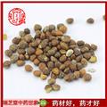 紫蘇子統(tǒng)貨  中藥材打紫蘇子 紫蘇籽 瑞芝堂產(chǎn)地直銷1000g